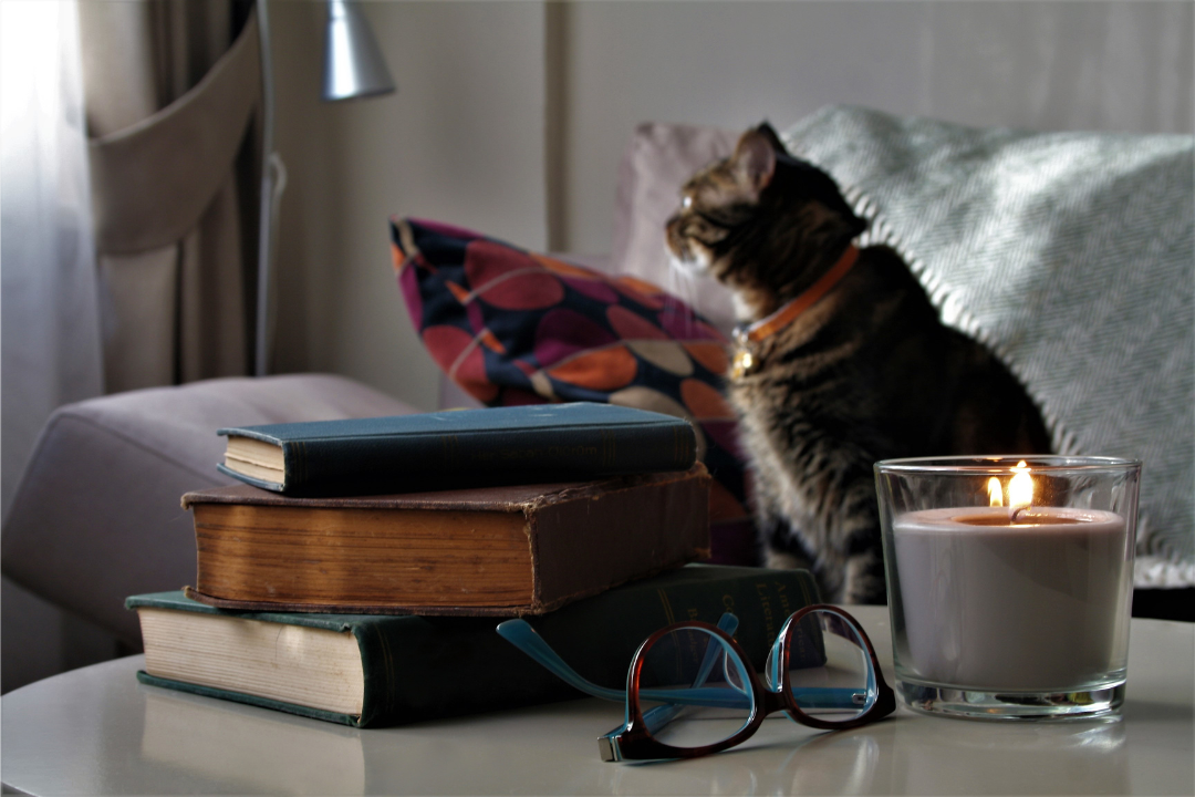 Candles and Cats: How to Enjoy Both Safely