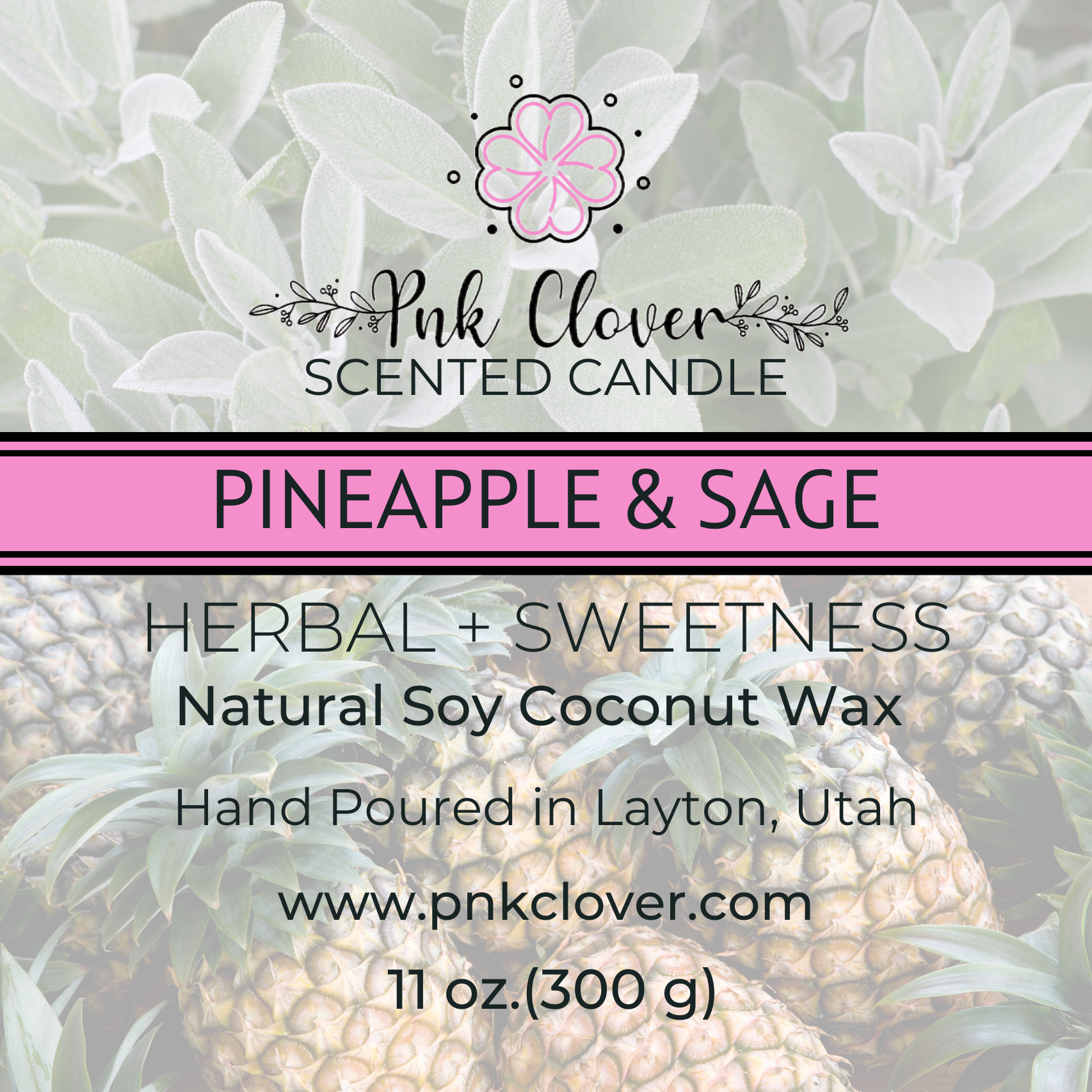 Pineapple Sage - Candles by Pnk Clover | Pineapple Sage Scented Candle | Tropical Aroma - 11oz Soy Coconut Wax - Pnk Clover